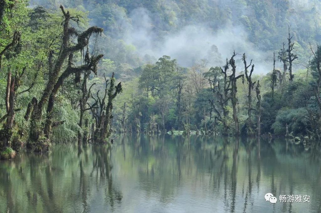 雅安4天旅游攻略最新版,五一去雅安的攻略