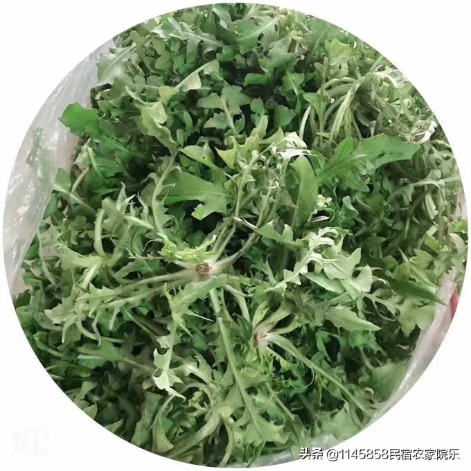 蓟县盘山玉环山庄,玉环山庄农家院