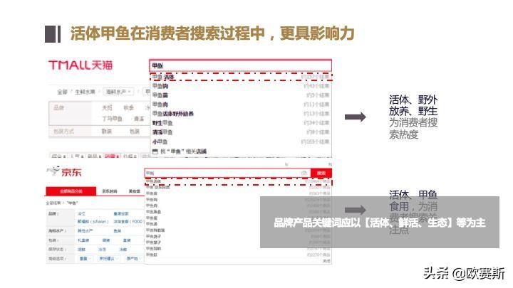 欧赛斯带你全方位洞察甲鱼市场发展趋势及竞争格局