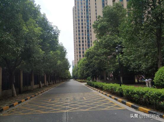 合肥滨湖学区房最新价格,合肥滨湖cbd学区房