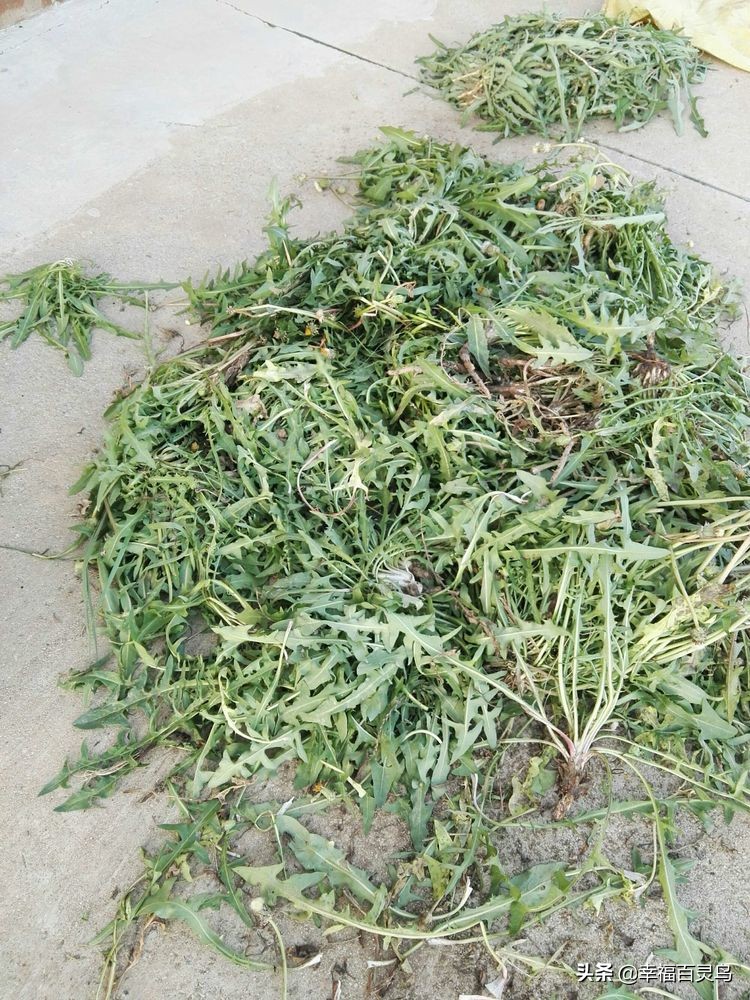 没有过不去的困难只是暂时的,心中有希望所以不再有哭泣