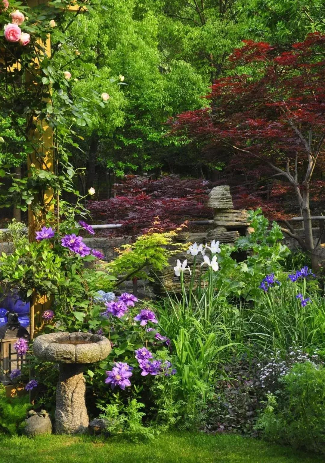 她40岁之前忙成狗，40岁之后在上海买房隐居