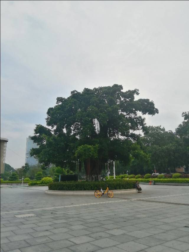 东莞旗峰公园掠影,东莞旗峰公园大体俯视图片