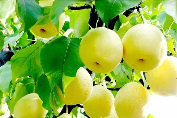 这才是上海最好的牛肉面,近期上海最牛的区