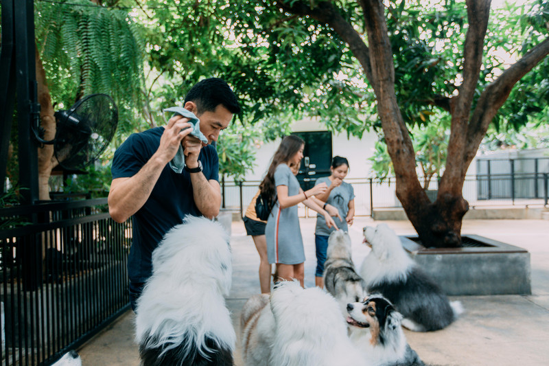 多次曼谷，整理了这份美食攻略，曼谷怎么吃，戳进来