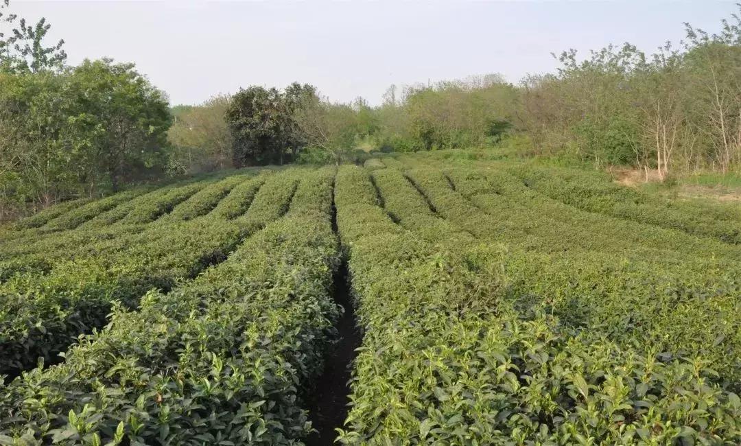 浦口古镇,南京市浦口区乌江旅游推荐