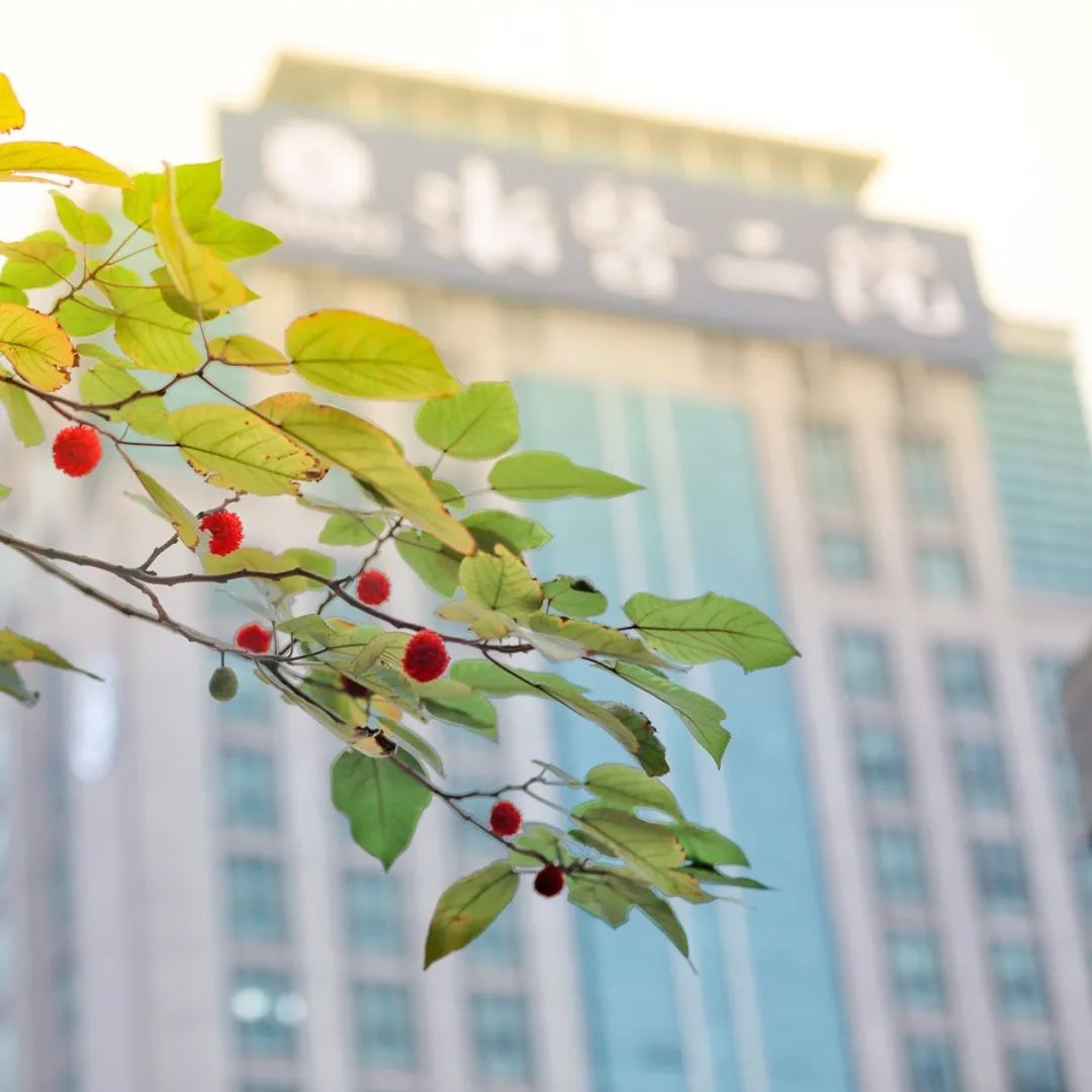 真香小说全文免费阅读,真香小说完整版