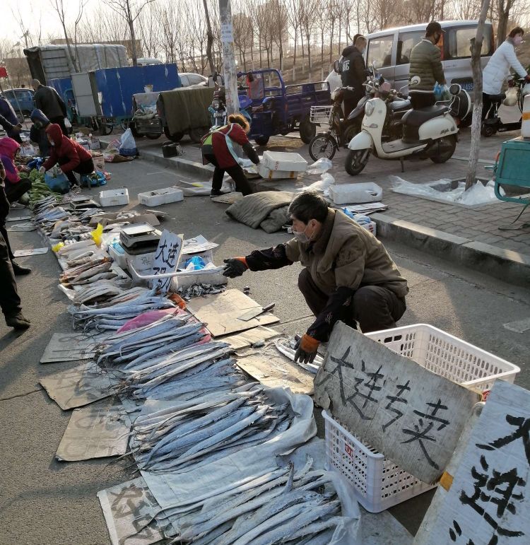 阜新东风路大早市,阜新东风路早市牛肉