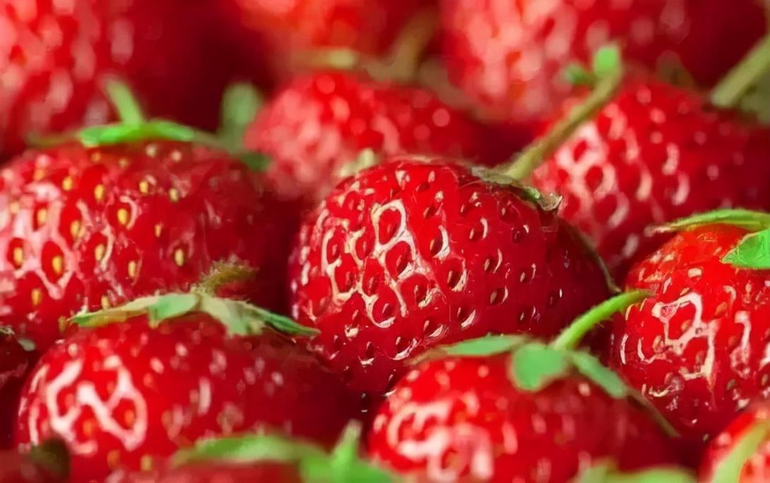 日本特产有哪些值得带的,日本特产有哪些值得带回