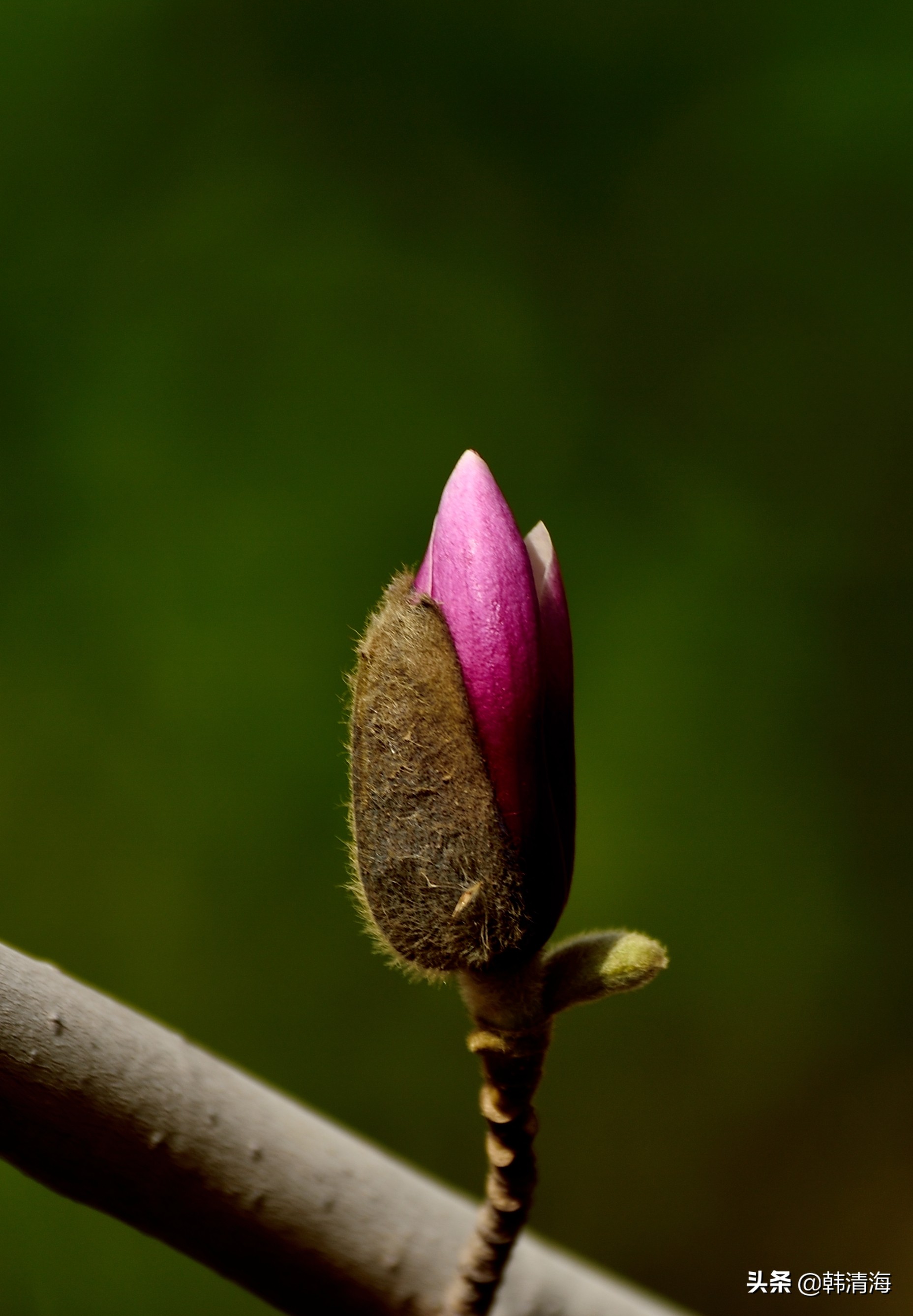 天津南开水畔花园洋房,天津南开区水畔花园