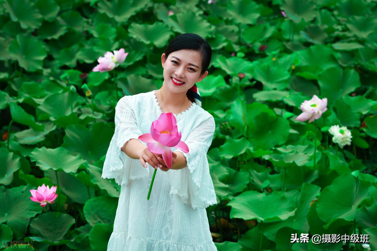 教你拍荷花的4个意境,怎么拍荷花拍照姿势大全