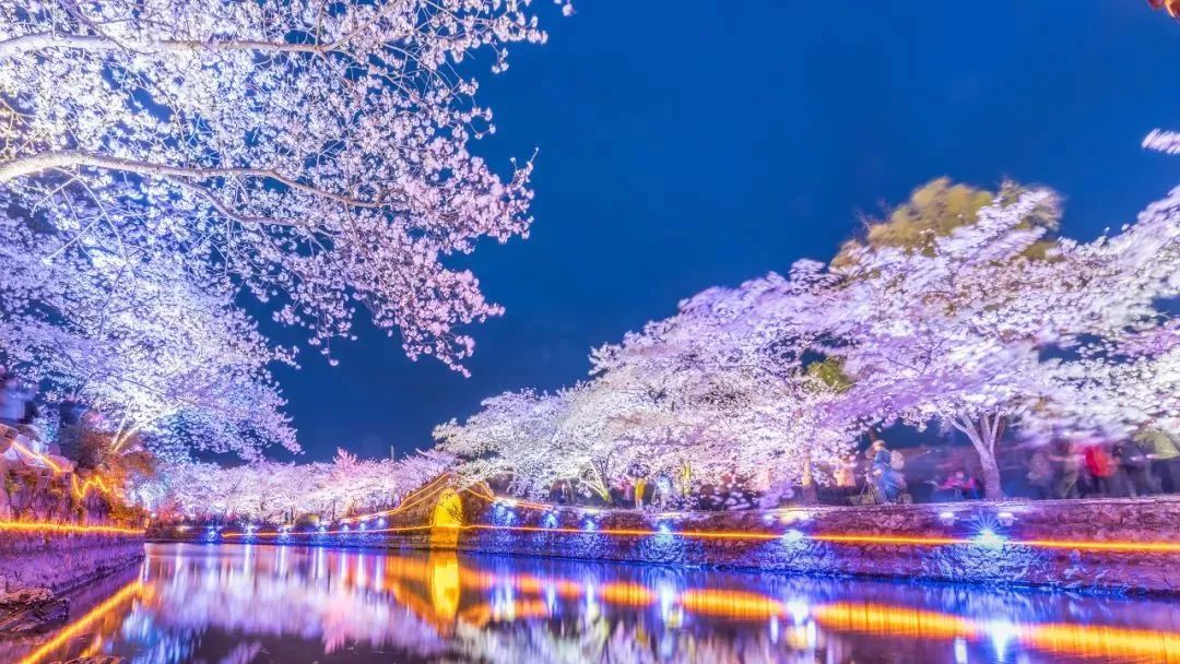世界最美赏樱地,武汉是全球公认的三大赏樱胜地