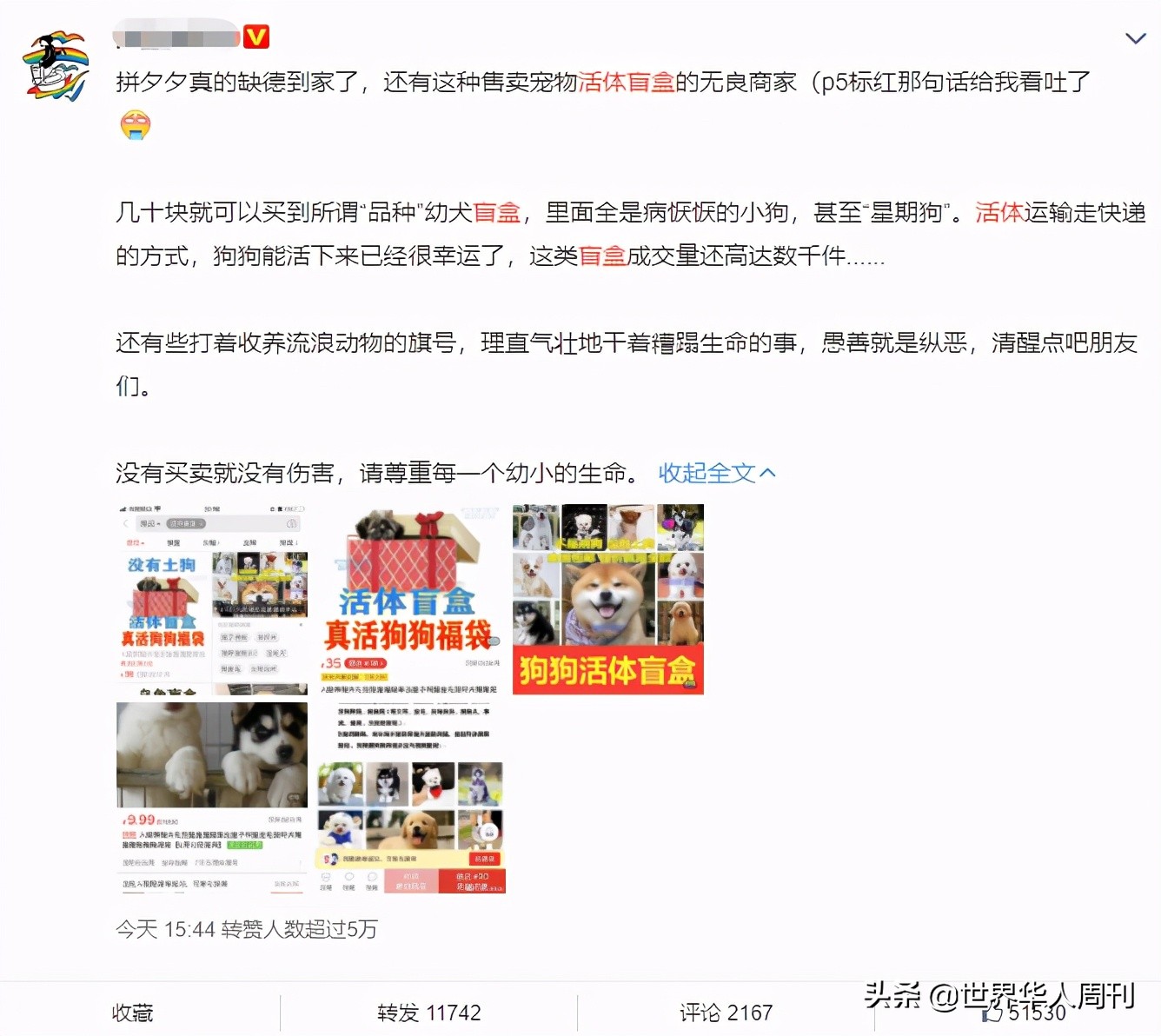 宠物生命当“惊喜”：鲜血淋漓的活体盲盒，成了当代年轻人的新宠