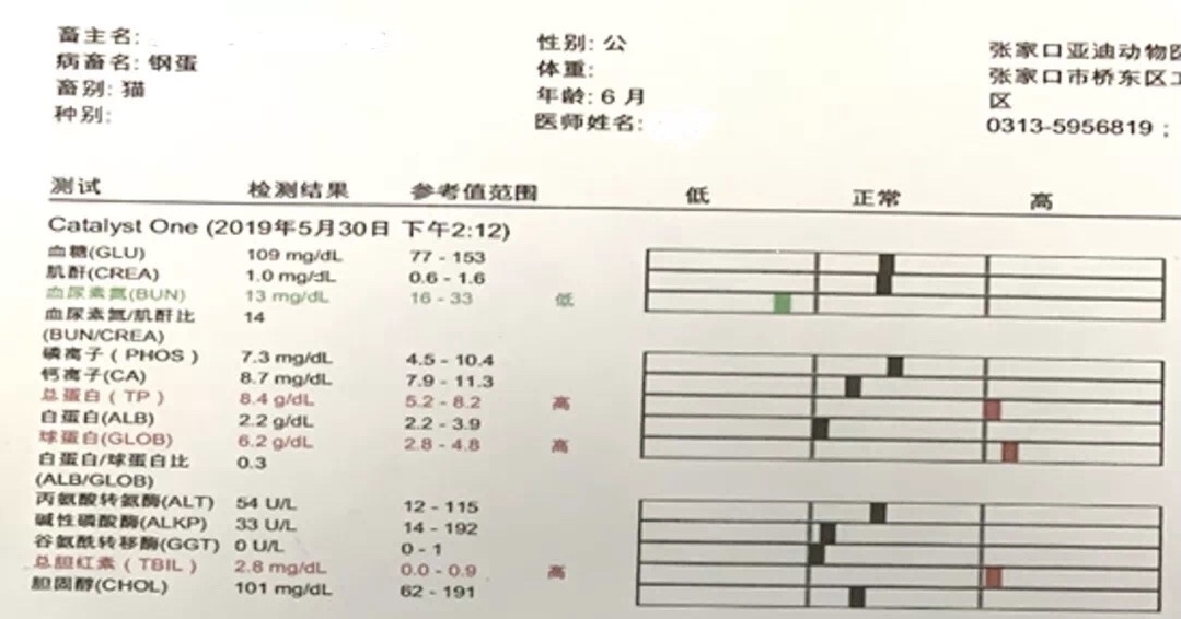 犬胆汁淤积特效药,胆汁淤积性肝病的克星