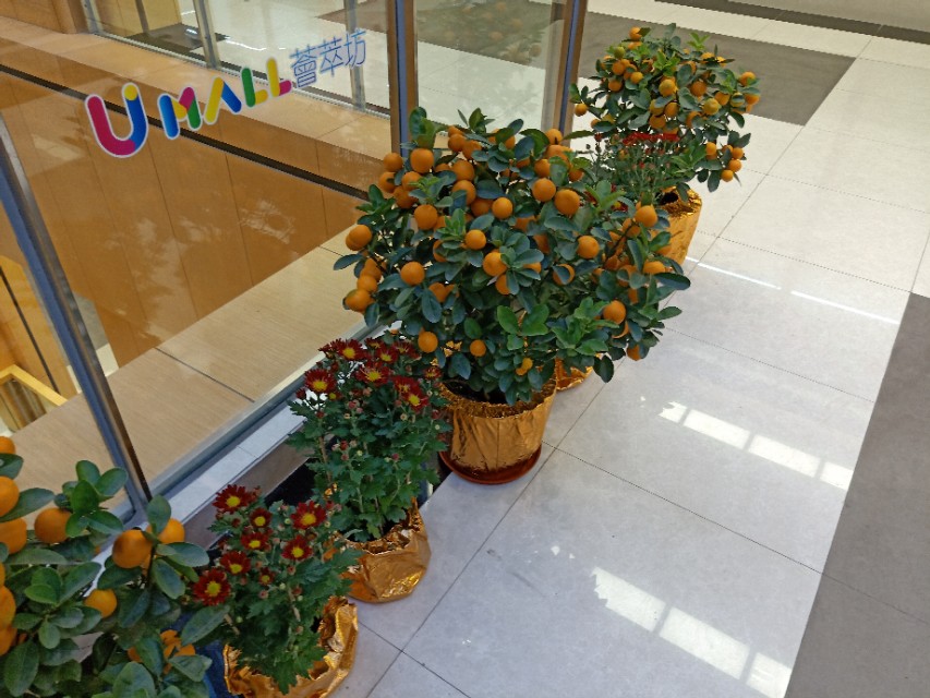 到了澳门才知道的冷知识,澳门旅游知识