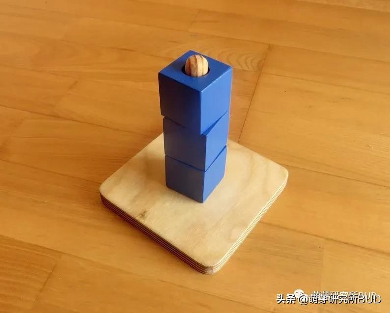 蒙台梭利亲子教育活动,蒙台梭利亲子活动视频