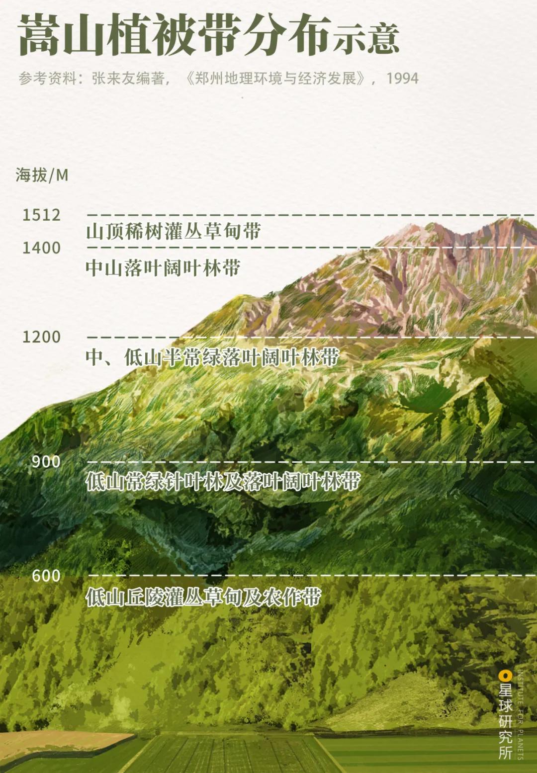 什么是郑州绿城,什么是郑州特产