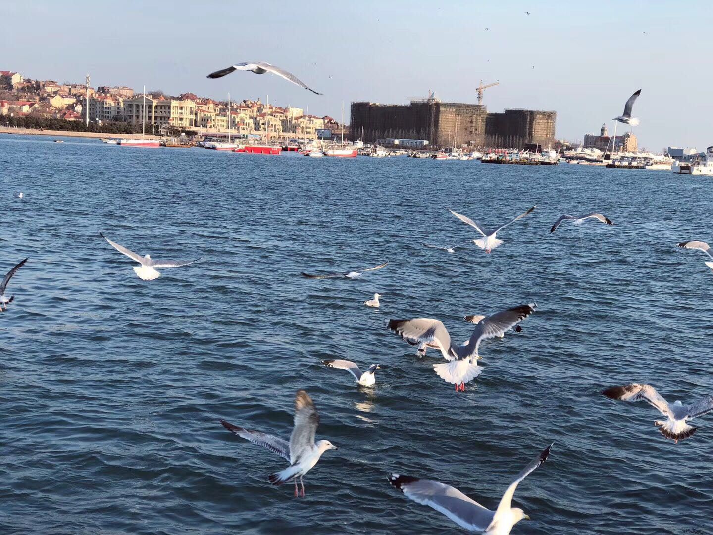 小额贷利息合法吗,一般情况下小额贷能贷出来多少钱