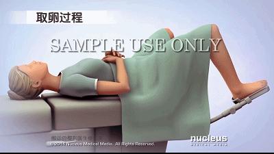 “25万出租子宫”短片被围观5.5亿次：你赚钱的样子，真丑！