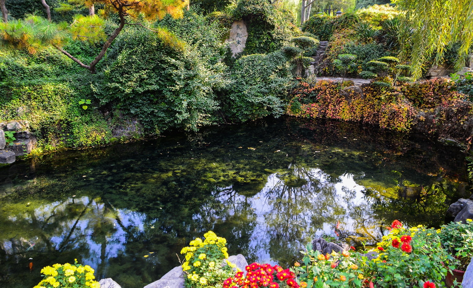 趵突泉诗赵孟頫创作背景,赵孟頫的趵突泉诗