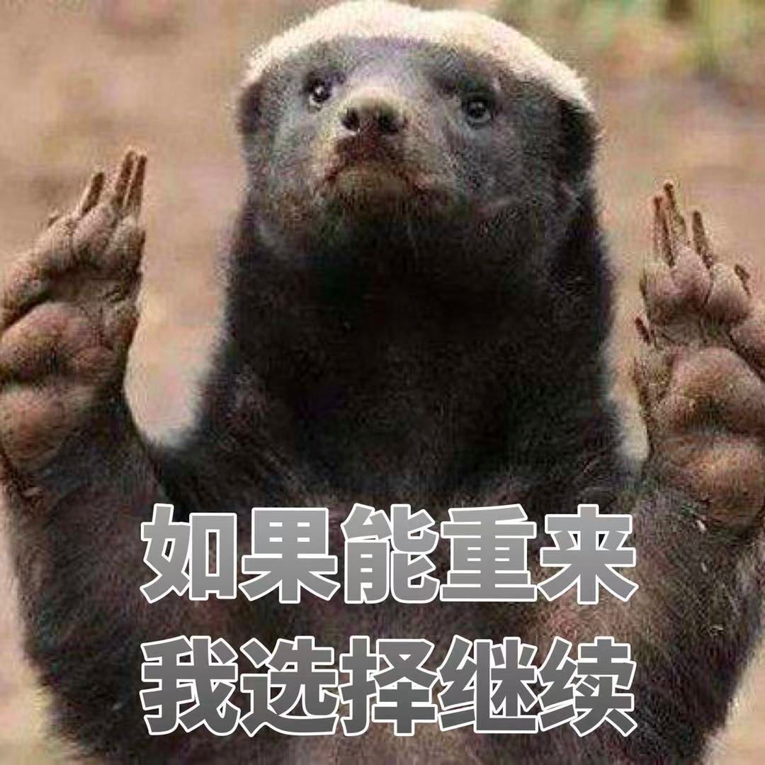 蜜獾吃毒蛇像吃辣条,蜜獾平头哥大战狮子