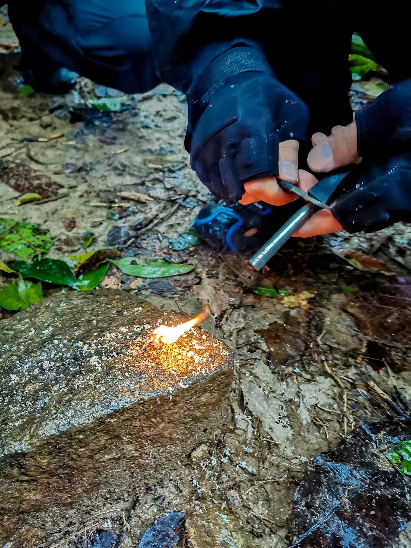 呀诺达雨林探险是什么,三亚呀诺达雨林正规吗