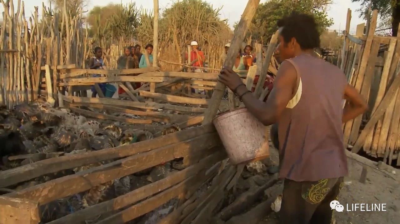 龟中“考拉”，请别让我们的孩子在博物馆见到它们...