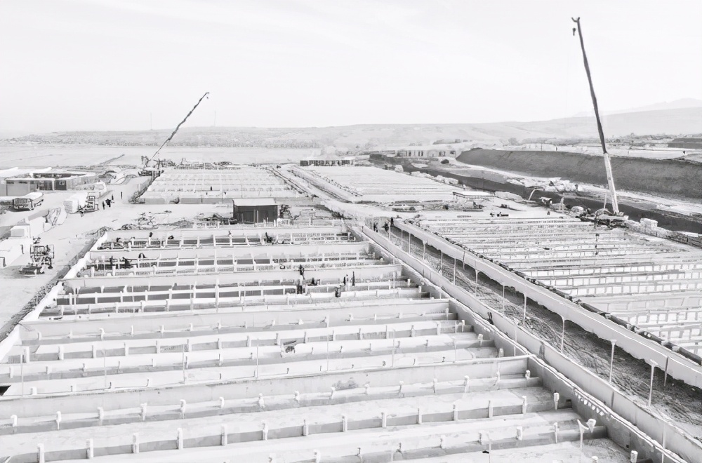 朝阳农业产业园项目,朝阳农业产业园建设