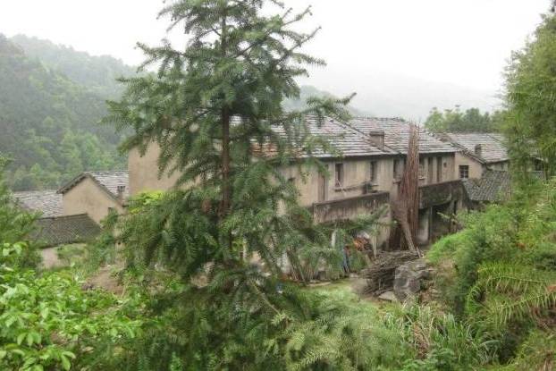 神秘的辉煌,神秘辉煌