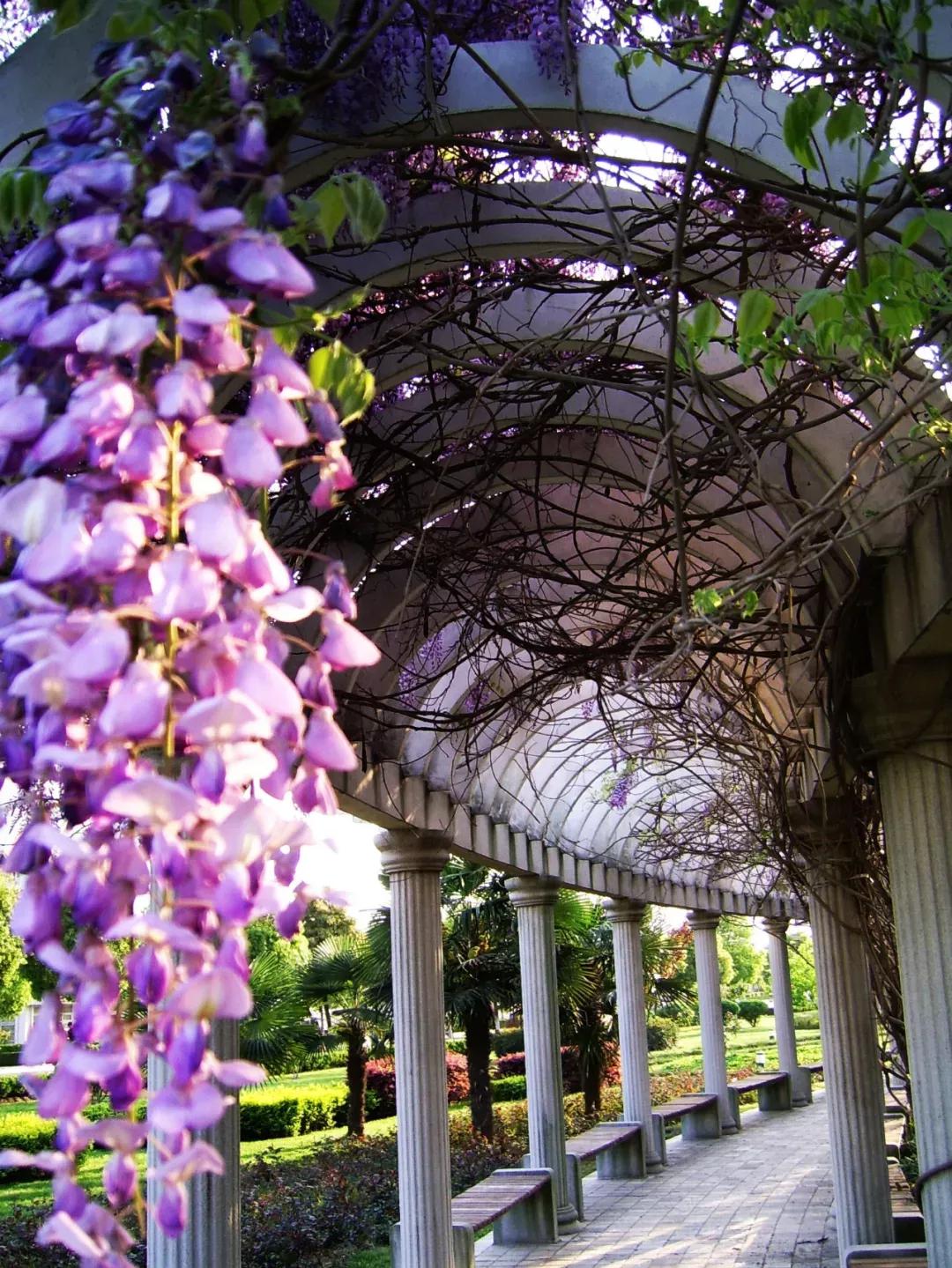 江苏财经大学,南京财经大学双非院校排名