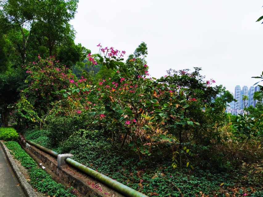 周日跟随珠海户外网板樟山游记