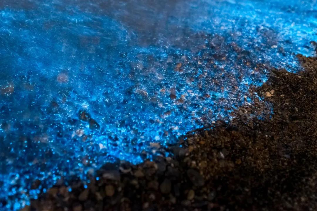 三亚和厦门哪个更值得去玩,三亚和厦门哪个更值得去游玩