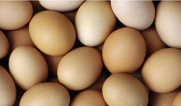 鸡蛋孵化管理技术,鸡蛋的孵化技术与要点