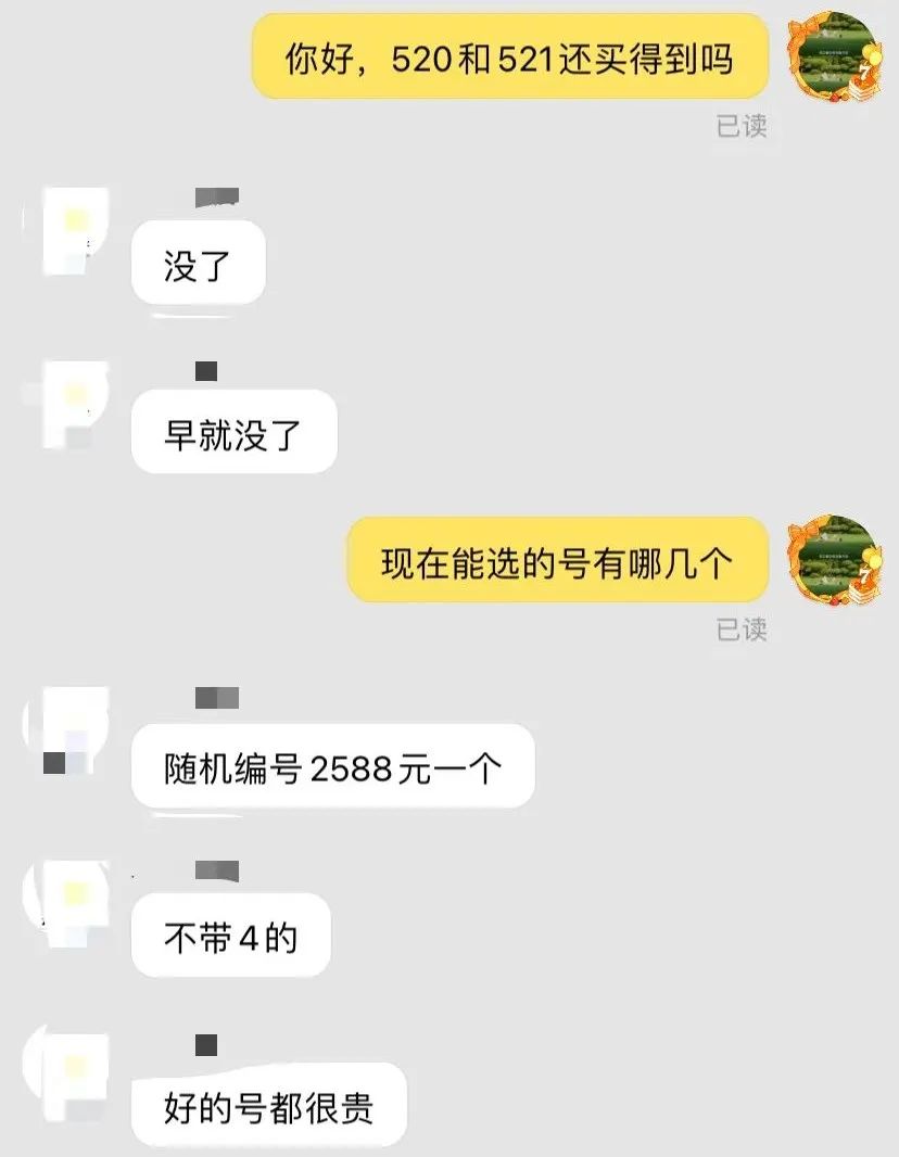 星巴克圣诞二哈杯,星巴克2022圣诞星杯冬日骄阳款