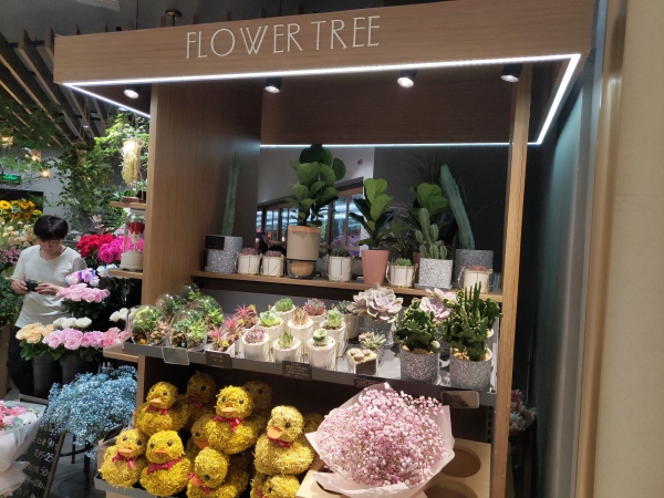 深圳免费花艺展,深圳花艺展