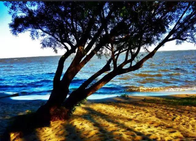 乌拉圭生活是什么样子的,乌拉圭怎么样