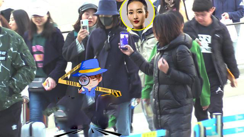 王鸥下颚,王鸥下颌角