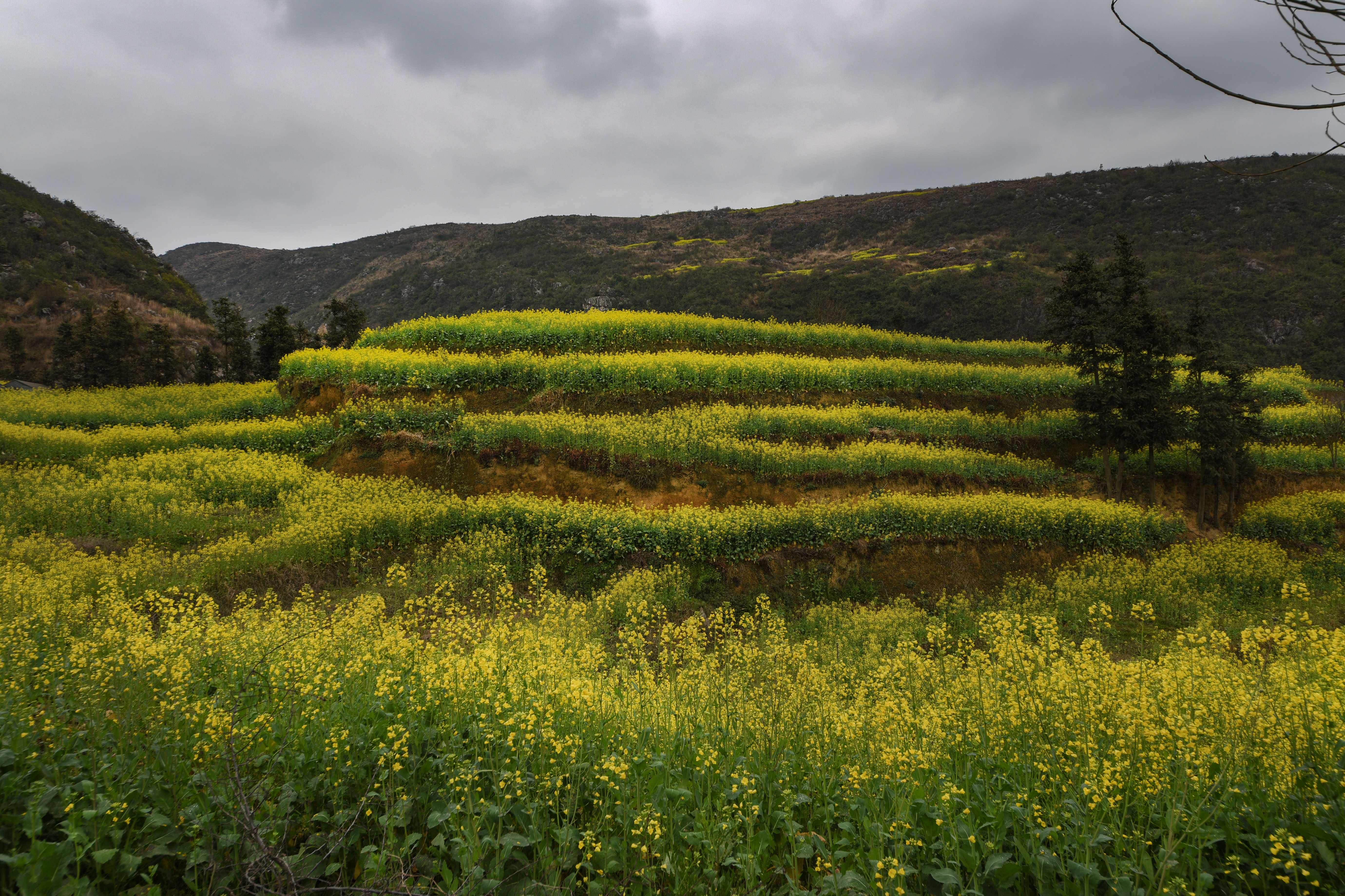 东川红土地螺蛳湾看日落最佳地方,下雨天的螺蛳湾