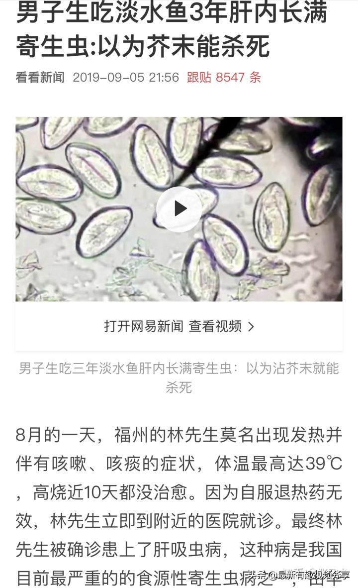 挪威三文鱼养殖环境恶劣纪录片,挪威三文鱼养殖环境恶劣新闻