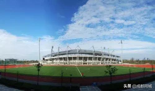 成都公共球场,成都公共体育场馆