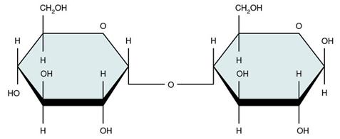 糖瓜粘和灶糖,糖瓜粘住灶王爷的牙