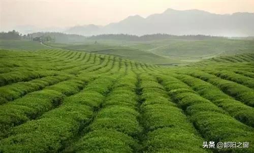 广西自驾贵州游玩攻略,贵州大小七孔游玩攻略