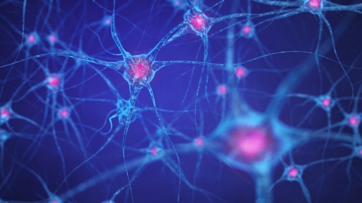 男子器官移植后9个月死亡,美国男子做移植手术