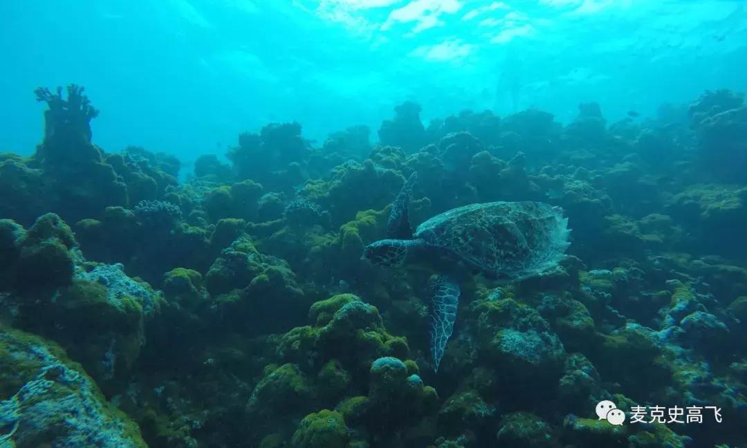 2000元玩马尔代夫,冷门又便宜马尔代夫