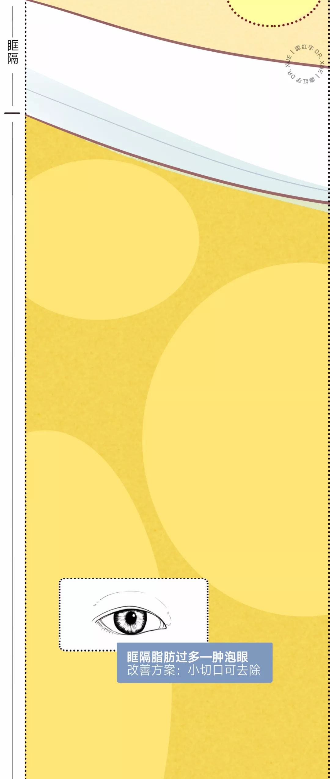 眼睛种类图解漫画,漫画眼睛的几种形态