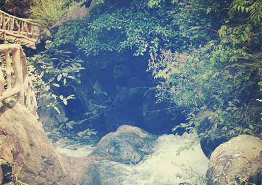 这4个大学专业毕业后就业率最高,预防医学最吃香的五个专业2021