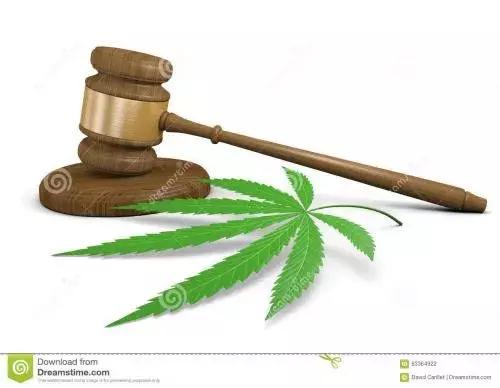 工业*麻大**：从北美火到中国，23个值得关注的行业机会