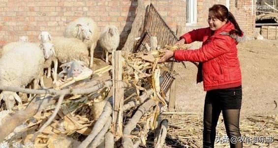 如果丈母娘彩礼要得多怎么办,丈母娘要的彩礼多怎么办