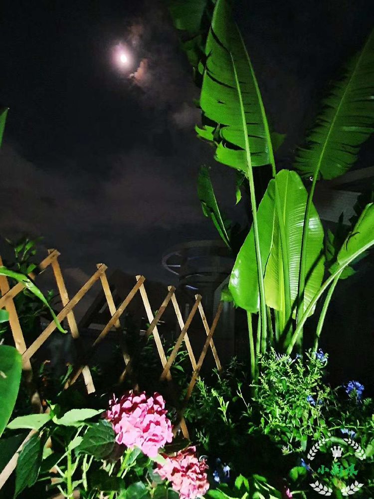 15平米露台改造成功案例,50平方楼顶改造露台和花园