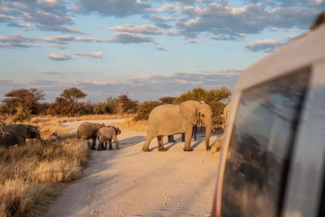 95后开着五菱环游世界,95后开面包车环游世界